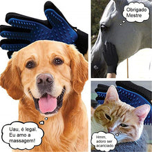 Carregar imagem no visualizador da galeria, Luvas Clean Pets
